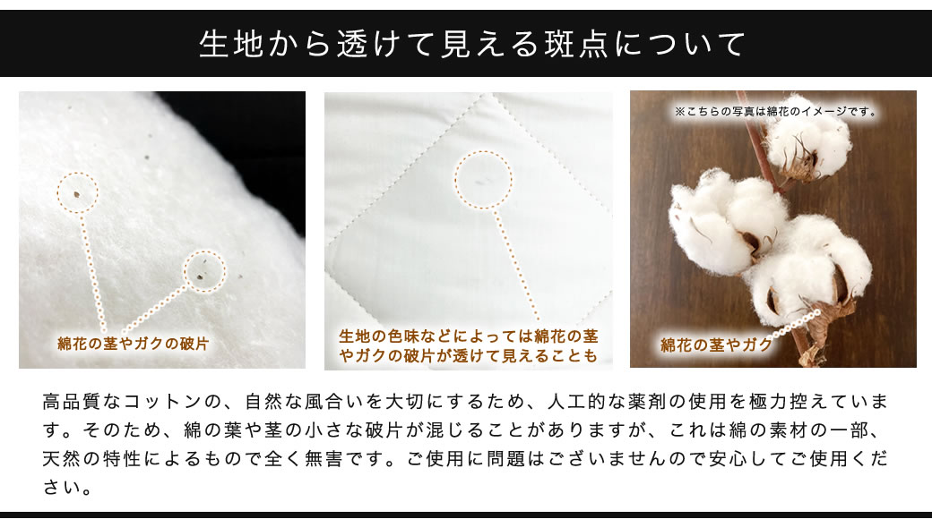 綿カスは綿花の一部です