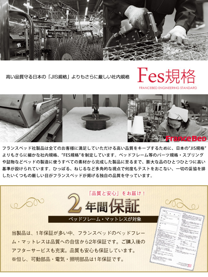 フランスベッド グランディ 跳ね上げ収納タイプ シングル 高さ33cm フレームのみ 日本製 francebed GR-04C 棚付 コンセント付 LED照明付 収納ベッド YS 横型 【受注生産品】 フランスベッド グランディ 跳ね上げ収納タイプ シングル 高さ33cm フレームのみ 日本製 francebed GR-04C 棚付 コンセント付 LED照明付 収納ベッド YS 横型 【受注生産品】