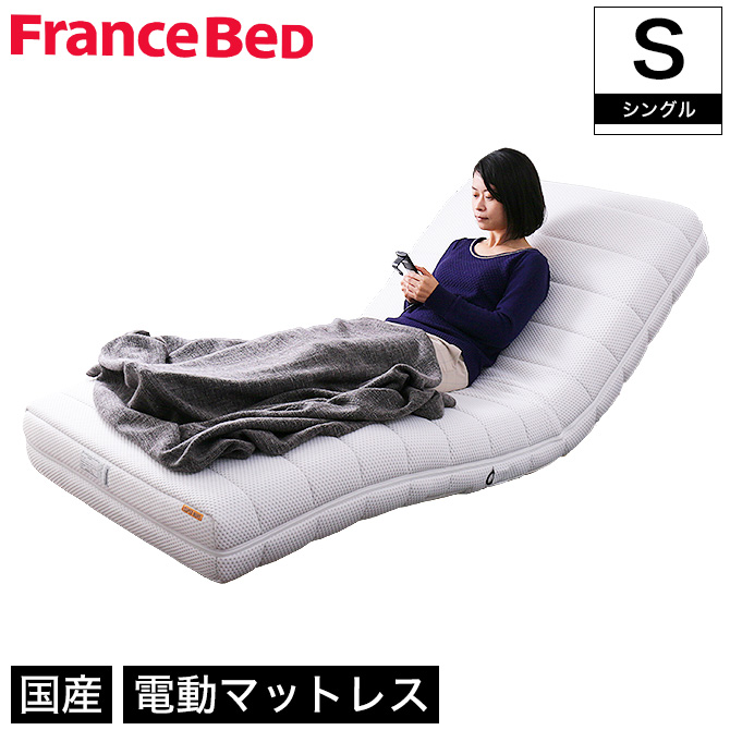 日本国内配送 エスポア フランスベッド リクライニングベッド 今月まで 介護ベッド 3モーター その他