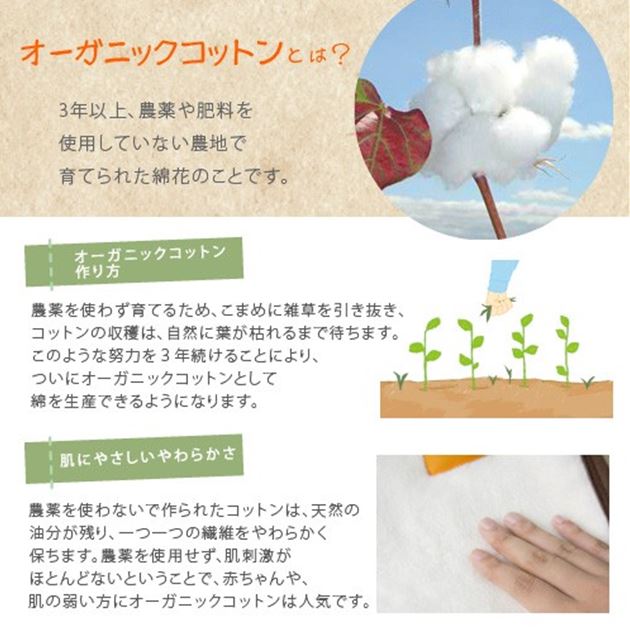 オーガニック5重ガーゼケット ミニサイズ プリエール Uvカット 出産祝いに 国内最大級のベッド通販専門店ネルコ Neruco オーガニック5重ガーゼケット ミニサイズ プリエール Uvカット 出産祝いに 国内最大級のベッド通販専門店ネルコ Neruco