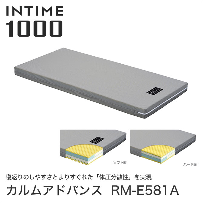 パラマウントベッド INTIME1000 カルムアドバンス RM-E581A セミ 