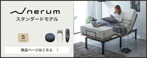 スタンダードモデル