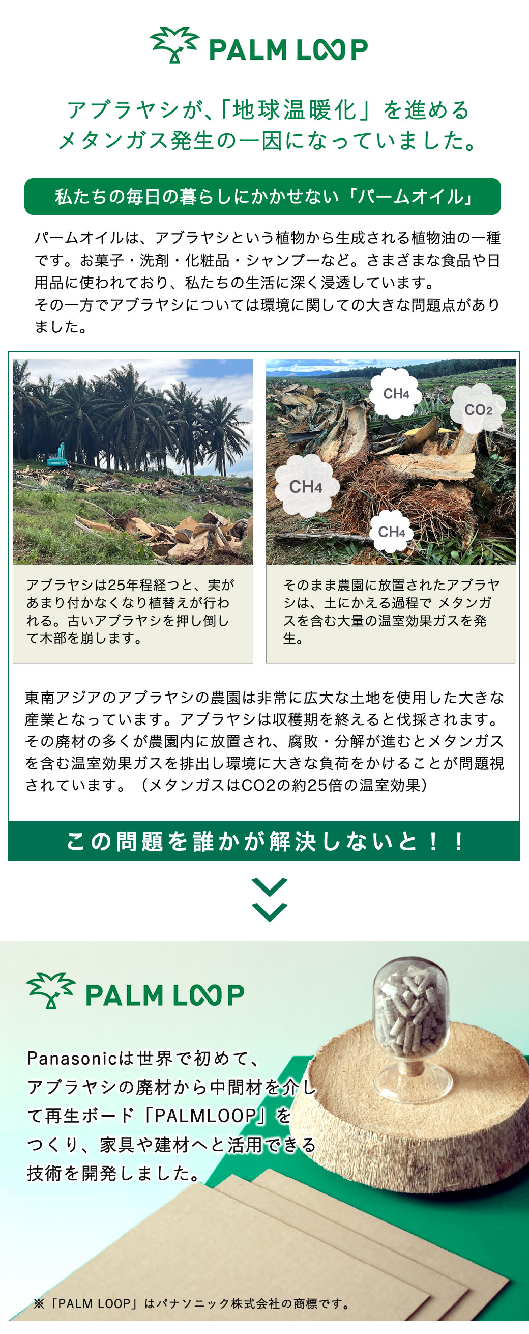 PALM LOOP アブラヤシの廃材からつくられる再生ボード