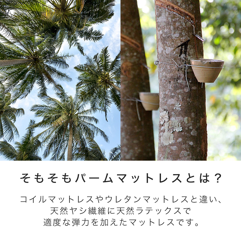 パームマットレスが睡眠と寝具の悩みを解決