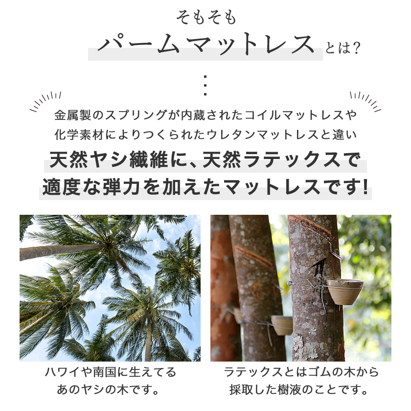 パームマットレスとは