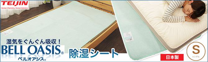 ベルオアシスへ飛ぶ