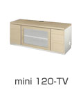mini120-TV